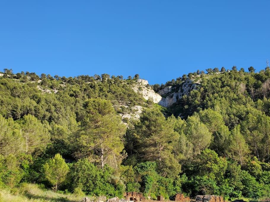 Les Prairies De Fenestrelle Spa & Piscine Au Calme Aubagne Eksteriør bilde
