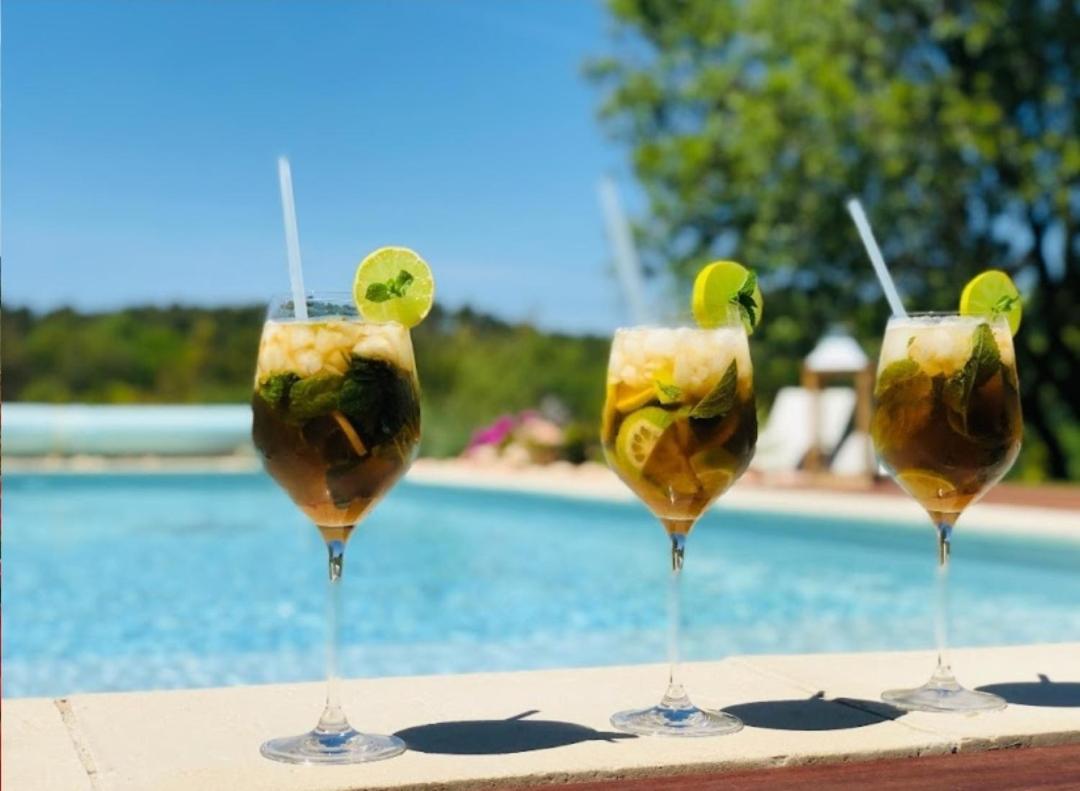 Les Prairies De Fenestrelle Spa & Piscine Au Calme Aubagne Eksteriør bilde