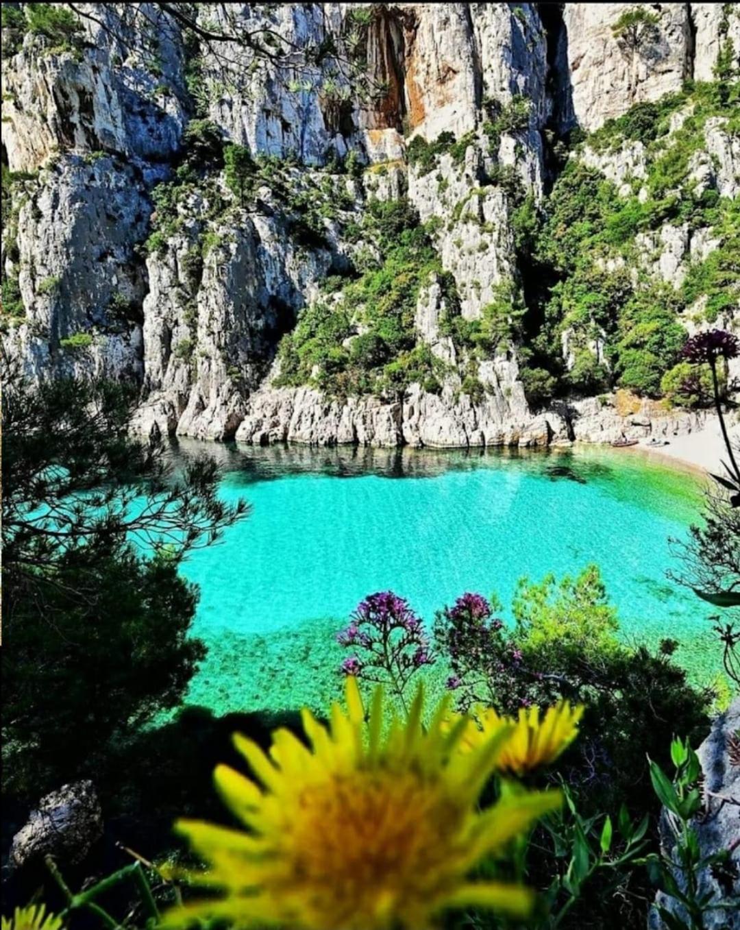 Les Prairies De Fenestrelle Spa & Piscine Au Calme Aubagne Eksteriør bilde